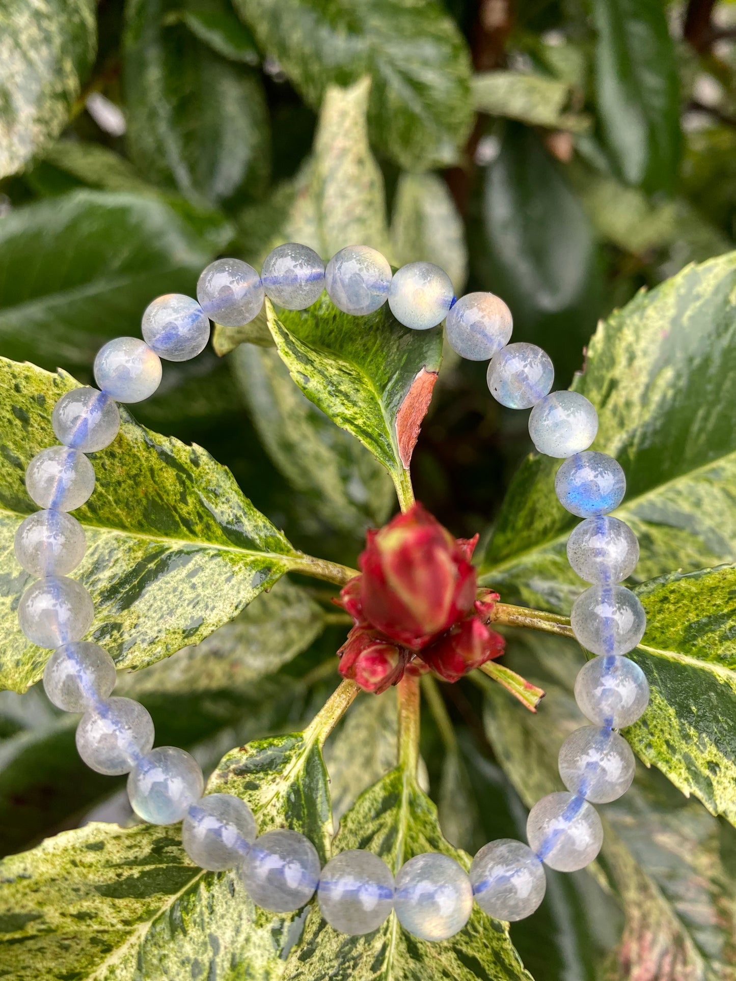 Bracciale in Labradorite