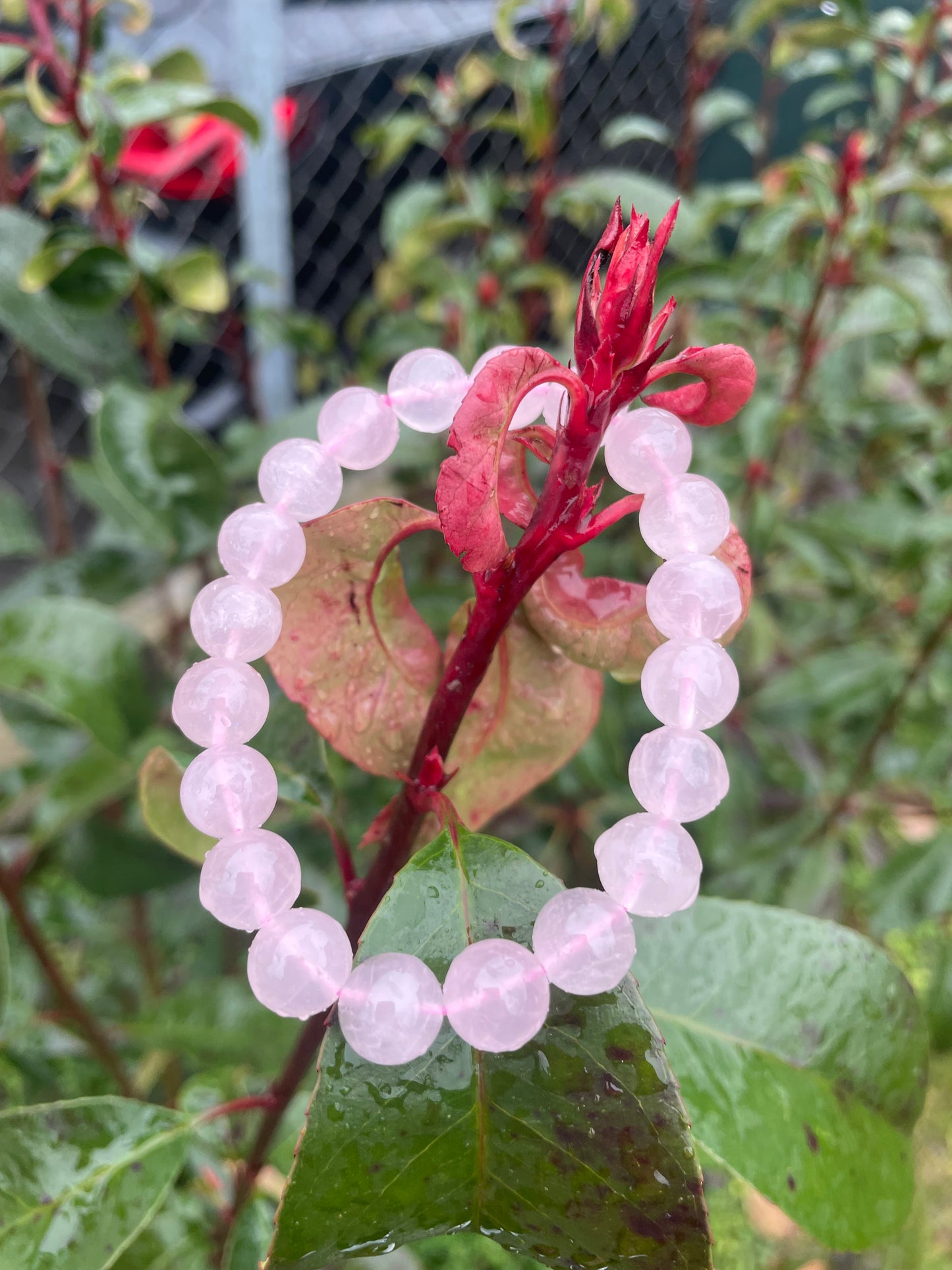 Bracciale in Quarzo Rosa