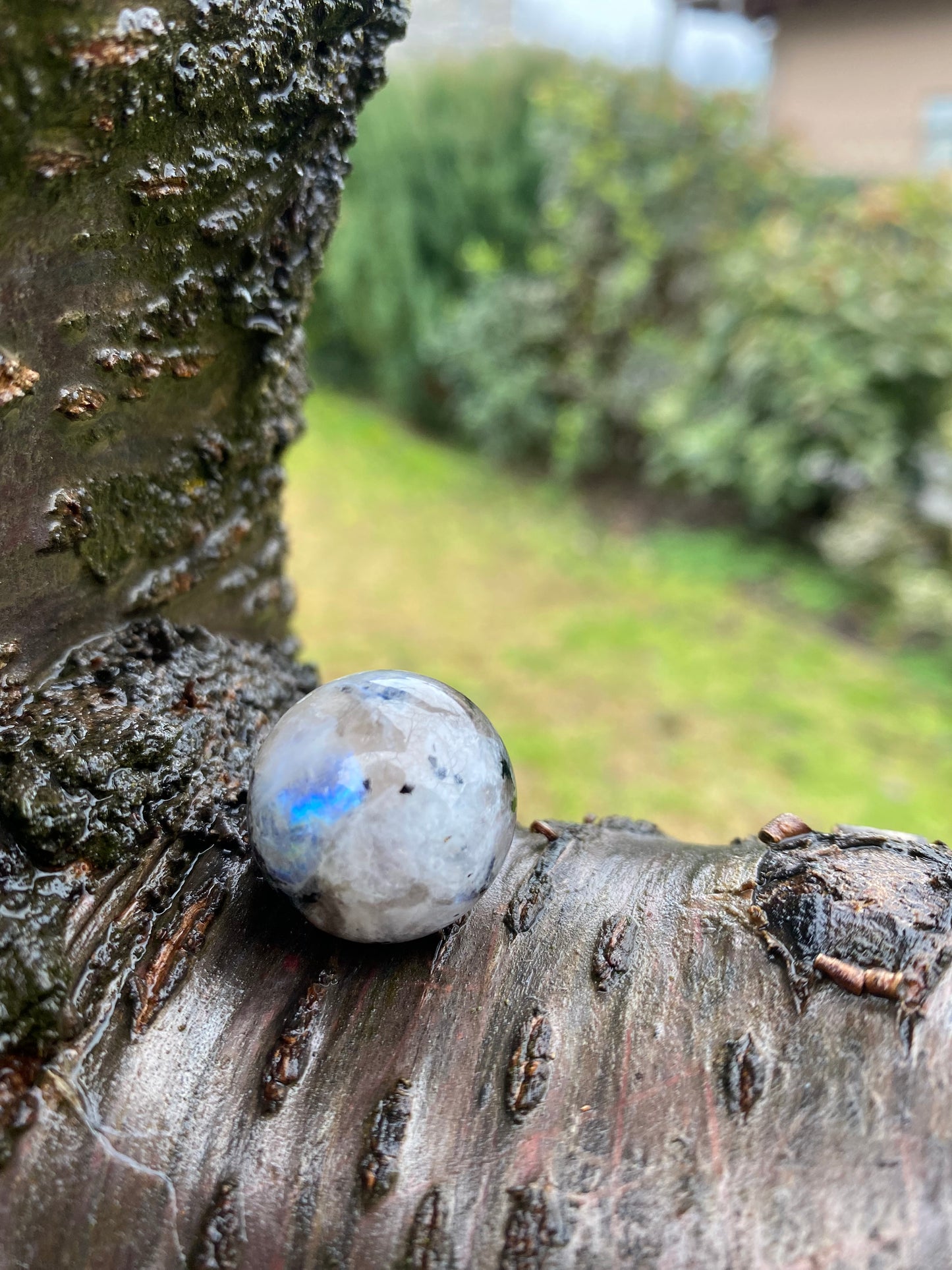 Sfera in Pietra di Luna